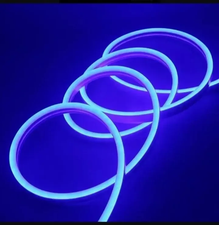 Tira Neon Azul 5 Metros 12V Sin Conector - Iluminación | ESCOMOTORS